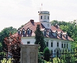 Wierzbie