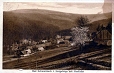 Czerniawa