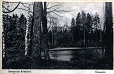Gryfów