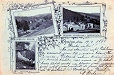 Krynica