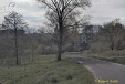 Grabiszyce Dolne