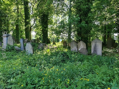 Cmentarz żydowski w Cieszynie Stary