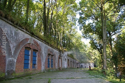 Autor 	Jakub Hałun; WIkimedia Commons; Creative Commons Uznanie autorstwa–na tych samych warunkach 3.0 niezlokalizowana, 2.5 zlokalizowana, 2.0 zlokalizowana oraz 1.0 zlokalizowana.