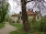 Pałac w Sadach Górnych